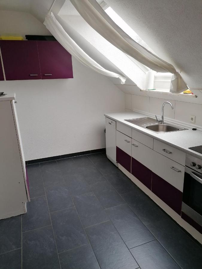 Ferienwohnung Mannes Lauingen Exteriör bild